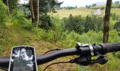 Trail Electric bike La Bresse - la bresse - piquante pierre - col de la burotte - Photo 9