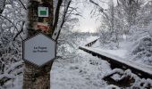 Randonnée Marche Stavelot - Hockai - Le Trôs Maret - La Fagne du Fraineu - Photo 8