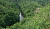 Tour Wandern Hohenfels - Nisramont  + Herou - Photo 17