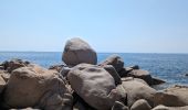 Tour Wandern Porto-Vecchio - 2023-06-24 Marche Plage Santa Giulia vers Palombaggia - Photo 4