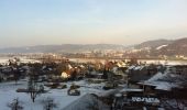 Percorso A piedi Reiden - Guggerhöchi - Buechberg - Langnau - Photo 2