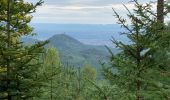 Trail Walking Thannenkirch - Thannenkirch / rocher pointu / rocher des géants  - Photo 2