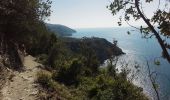 Trail Walking Vernazza - Corniglia gare Veratta - Photo 18