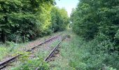 Tour Wandern Wirten - Trou des fées, Montauban & Fourneau Marchand - Photo 1