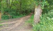 Trail Walking Pimbo - ARZACQ / LOUVIGNY collecte 