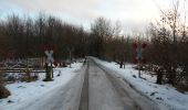 Tocht Te voet Schafflund - Durch das Urstromtal der Wallsbek - Photo 1