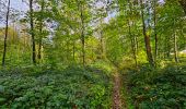 Trail Walking Onhaye - De Miavoye à Maurenne par le vallon de Féron - Photo 6