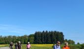 Tour Wandern Havelange - Porcheresse.  Havelange - Photo 14