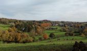 Tour Wandern Pepinster - Randonnée à Pepinster  - Photo 17