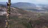 Trail Walking Apremont - Mont Joigny, pte de la Georgat, la Lentille, le GD Carroz - Photo 5