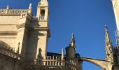 Tour Wandern Sevilla - 20181231 Séville  - Photo 13