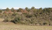 Tour Wandern Gréoux-les-Bains - greoux . la colle.  - Photo 1