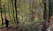 Trail Walking Vresse-sur-Semois - Alle - Orchimont - Photo 6