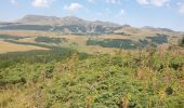 Trail Walking Besse-et-Saint-Anastaise - Le tour du Lac Pavin et montée au Puy Montchal - Photo 16