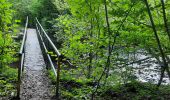 Excursión Senderismo Chimay - Bois de Baileux et l'Eau noire - Photo 3