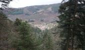 Randonnée Marche Neuviller-la-Roche - Neuviller La Roche Cascade de la Serva - Photo 2