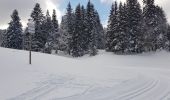 Trail Cross-country skiing Gex - Sonnaillyais - Photo 11