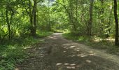 Tocht Stappen Saint-Pierre-du-Perray - Saint-Pierre-du-Perray - Forêt de Rougeau - Photo 2