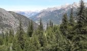 Trail Walking Freissinières - Fressiniere  les Roberts  Lac de la Lauze - Photo 9