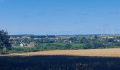 Randonnée Marche Florennes - Hanzinne  - Photo 2