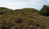 Tour Zu Fuß Texel - De Bollekamer - Photo 1