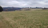 Trail Walking Kaltenborn - Hohe Acht - Photo 8