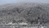 Percorso A piedi Masone - Masone - Cascina Laiasso - Pratorondanino - Photo 3