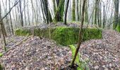 Tour Zu Fuß Schmelz - Rötelweg - Photo 3