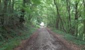 Randonnée Marche Huy - Vallée de la Solière - Photo 1