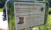 Trail Walking Chaumes-en-Brie - Forest/Chaumes - Photo 1