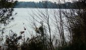 Tour Wandern Morcenx-la-Nouvelle - Arjuzanx lac - Photo 13