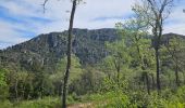 Trail Walking Solliès-Toucas - Promenade à Siou Blanc - Photo 2