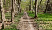Trail Walking Avilly-Saint-Léonard - randonnée en forêt de chantilly - Photo 2