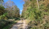 Trail Walking Amagney - Amagney Ferme de Rufille Marchaux Amagney  - Photo 4