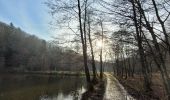 Tour Wandern Saint-Hubert - rando arville 7-12-2023 - Photo 1