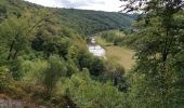 Tour Wandern Bouillon - Poupehan_Rochehaut_Frahan_Poupzhan - Photo 3