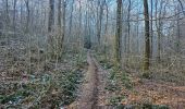 Tocht Stappen Profondeville - La promenade du bois de Nimes à Lustin - Profondeville - Photo 13