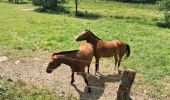 Trail On foot Bouillon - Lannoo GrWandArd 79 Bellevaux de watermolenwandeling (PVDB) - Photo 5