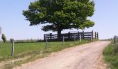 Tour Wandern Comblain-au-Pont - Balade dominicale. - Photo 1