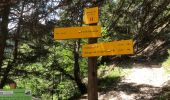 Trail Walking Pralognan-la-Vanoise - Trek 4 jours - Etape 4/ 4 bis / Refuge peclet Polset - Modane - Photo 13
