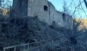 Randonnée Marche Husseren-les-Châteaux - Husseren les Châteaux - Photo 2