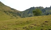 Tocht Stappen Cauterets - plateau du lisey 2019 - Photo 10