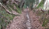 Trail Walking Saint-Pierre-de-Cormeilles - St Pierre de Cormeille - Photo 7
