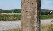 Percorso A piedi Ober-Ramstadt - Rundwanderweg Ober-Ramstadt Grandes Semailles 2: Weichkopfweg - Photo 1