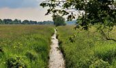 Randonnée A pied Rotenburg - Nordpfad 'Wümmeniederung' - Photo 2