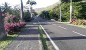 Randonnée Marche Anse d'Arlet - Place de l'église Morne Champagne en boucle  - Photo 17