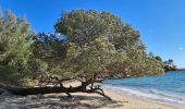 Excursión Senderismo La Londe-les-Maures - La Londe - L'argentiere vers le Pellegrin - Photo 14