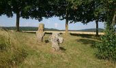 Excursión A pie Münchsteinach - Baudenbach Rundweg B2 - Photo 1