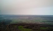 Trail Walking Besançon - Forêt de CHAILLUZ Fort de la dame blanche - Photo 6