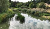 Tour Wandern Rouvroy - La Charmouthienne_boucle_Torgny_16km_2019-09-08 - Photo 12